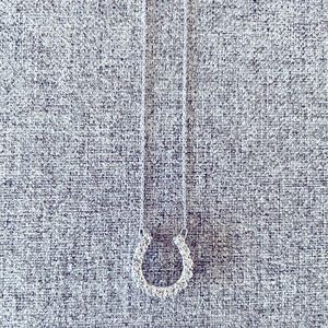 Diamond Horseshoe Necklace
